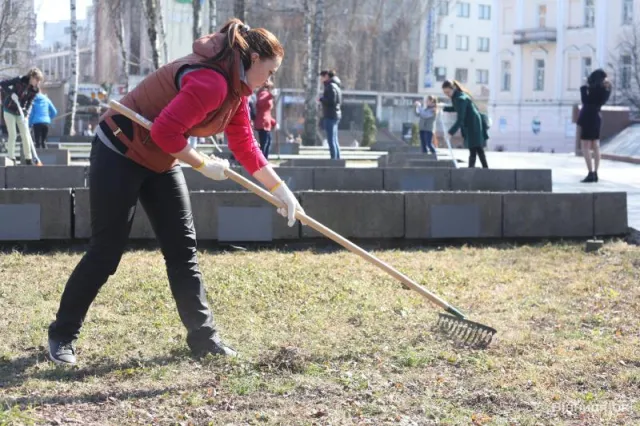 У Вінниці студенти провела суботник (Фоторепортаж) — фото 4