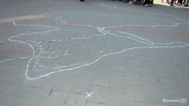У Вінниці пройшов флешмоб «Єдина країна» (Фоторепортаж) + (Відео) — фото 3