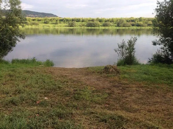 Вінницькі митники та працівники СБУ виявили 50 тонн контрабандного спирту — фото 3